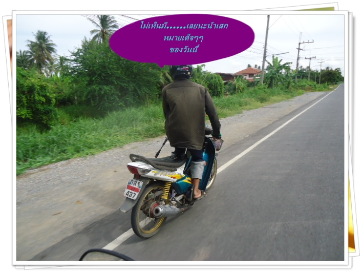 กลังจากที่เกือบโดนเจ้าถิ่นกัด :grin: :grin: :grin:
 เราก็ลุยกันต่อ :cool: :cool: :cool: :cool: