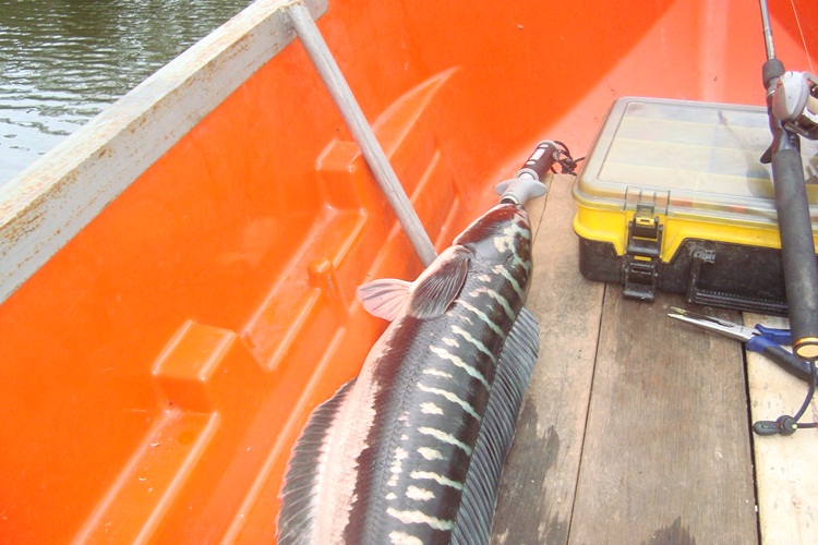 เก็บภาพหน่อยขณะเปลี่ยนหมาย