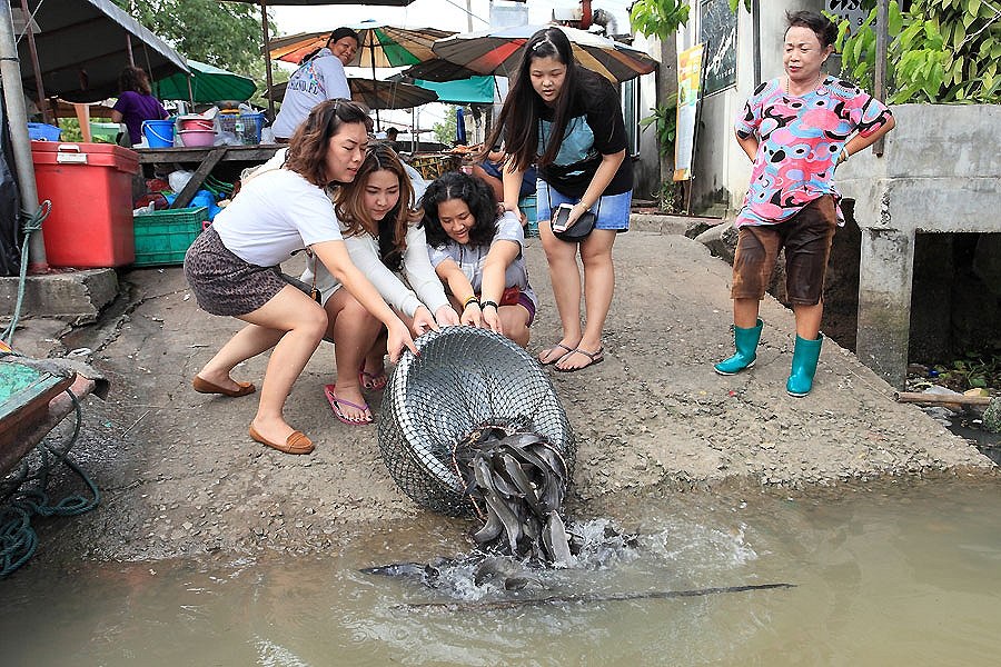 เธอเหล่านั้นไม่ได้มีที่ท่าว่าไม่พอใจ แต่ตรงกันข้ามเธอเหล่านั้นกลับไปซื้อมาทั้งกาละมังเลยครับ ทำเอาน้