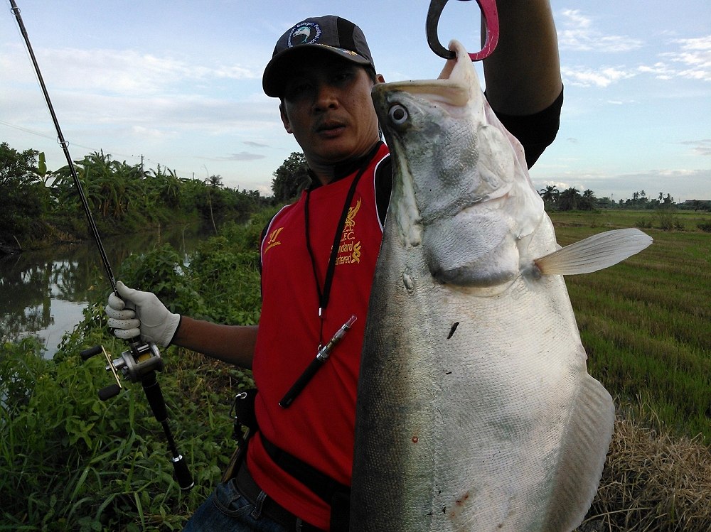 สาแก่จัยแต้ๆๆๆๆๆ :cheer: :cheer: :cheer: :cheer: :cheer: :cheer: :cheer:
นน.ประมาณ 1.9-2 kg ครับตัว