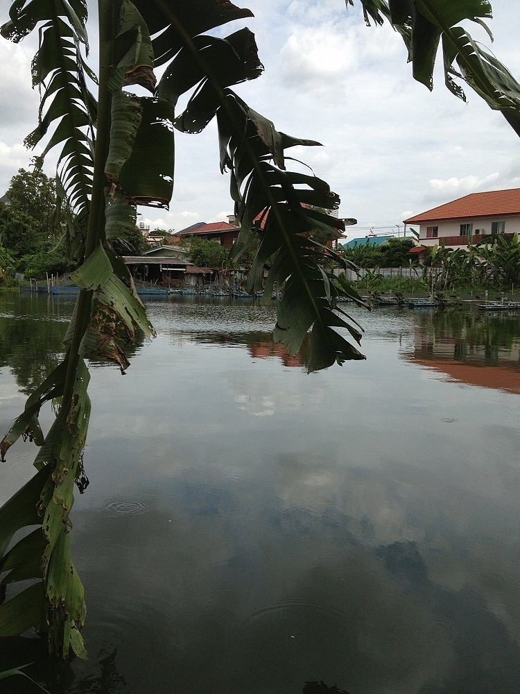 ทิวทัศด้านข้างครับ 