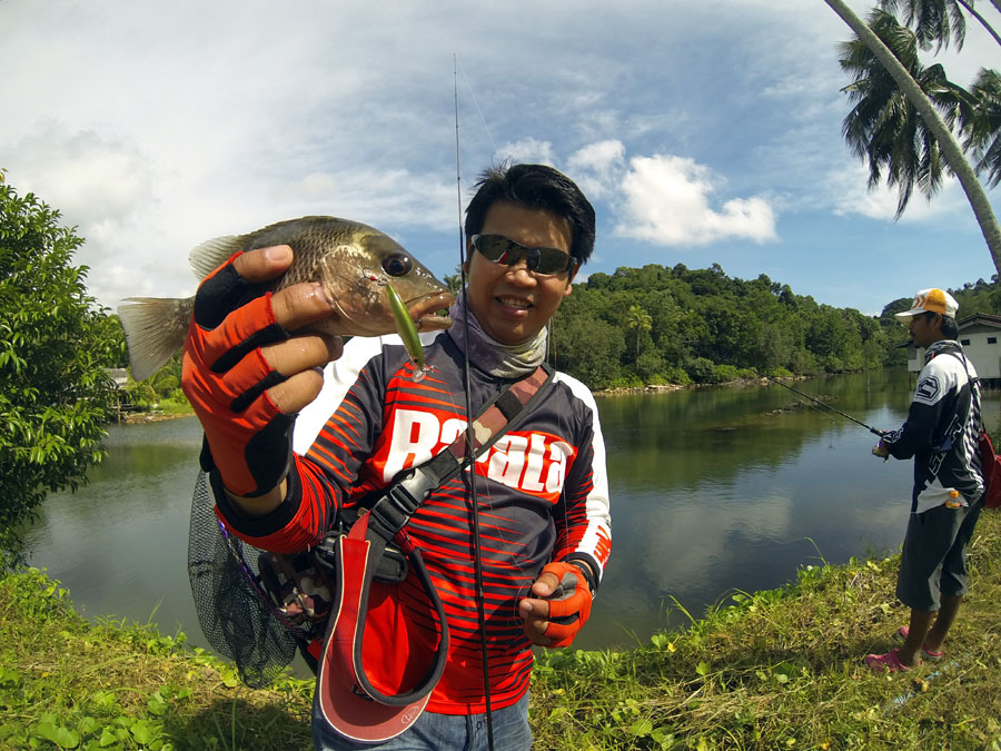  [center]ตัวนี้ได้จาก Rapala X-RAP XR06 เคาะเร็วๆแล้วหยุดแต่ไม่หยุดนิ่งให้ปลาพิจารณาเหยื่อ ก็เคาะต่อ