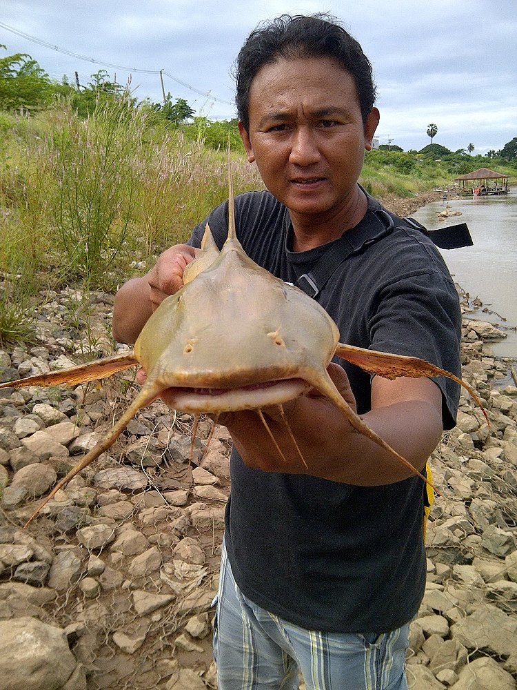 สัพเพเหระที่แม่น้ำน่าน