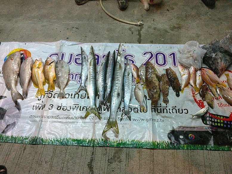 ปลารวม