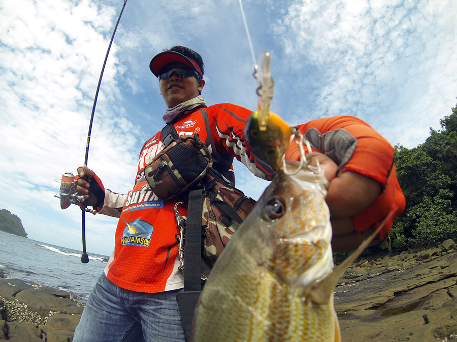  [center]ข้างแถว Brownstripe red snapperกับ Risto 5

เหยื่อที่หมูใช้ส่วนใหญ่ขนาดต่ำกว่า 8cm ส่วนเม