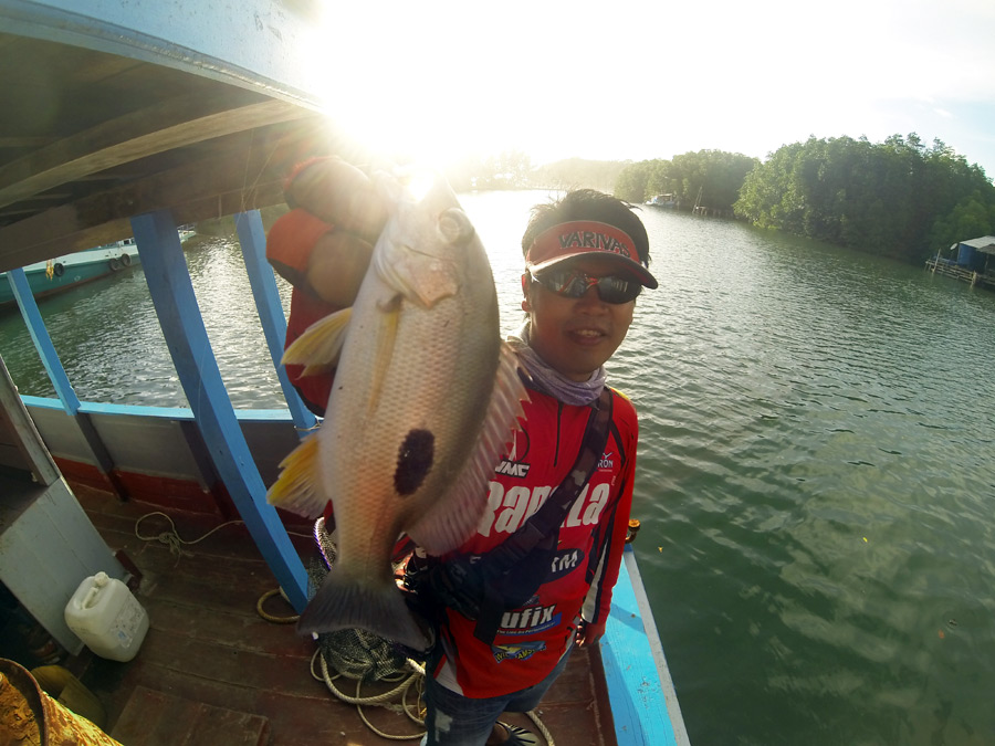  [center]หมูลงไปเล่น Jighead Rig เหยื่อยางไมโครอยู่ใต้สะพาน

ไขว้ข้างปานขึ้นมา :laughing:



*