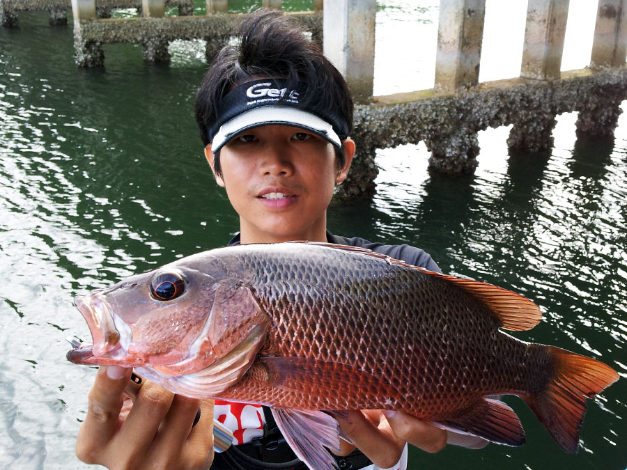  [center]หมูกลับมาจุดที่นัดกับเม่น เก็บรูปอีกนิดหน่อย[/center]
