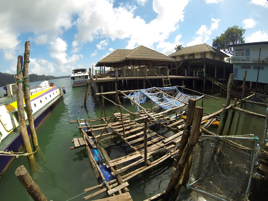  [center]รถของท่าเรือรับมาส่งถึงท่า 9:51 19/08/2013

ตรงนี้ไม่เสียค่าบริการนะครับ เพียงเราแจ้งวันก