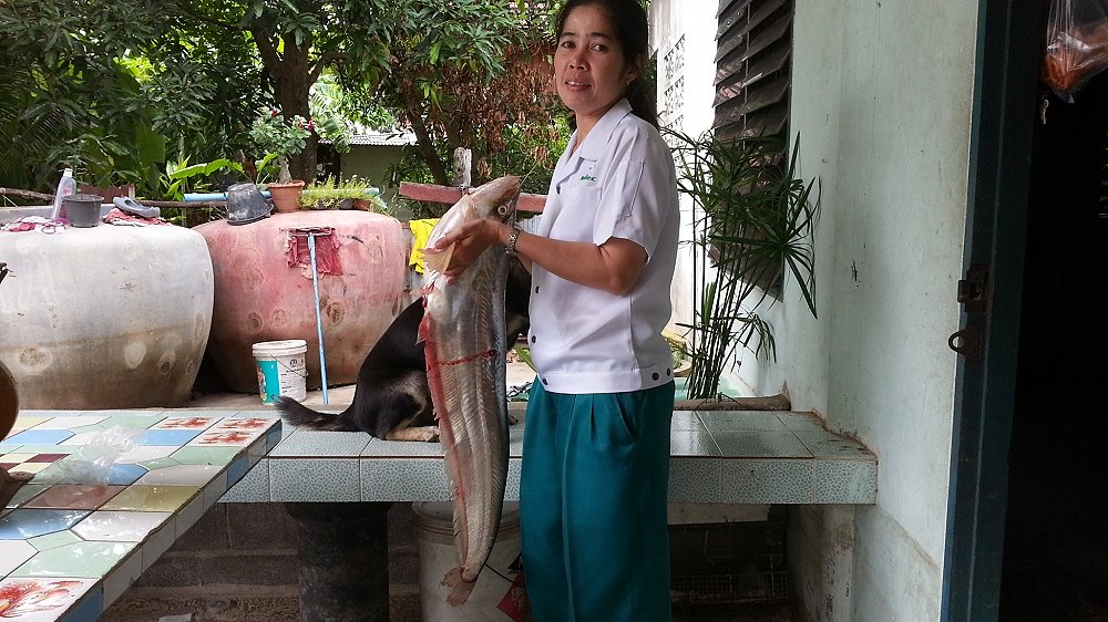 จบทริป 2 คืนกับครึ่งวันครับขอบคุณมากครับที่ติดตามและโหวตให้ขอบคุณครับ :prost: :prost:โอกาสหน้ามีทริป