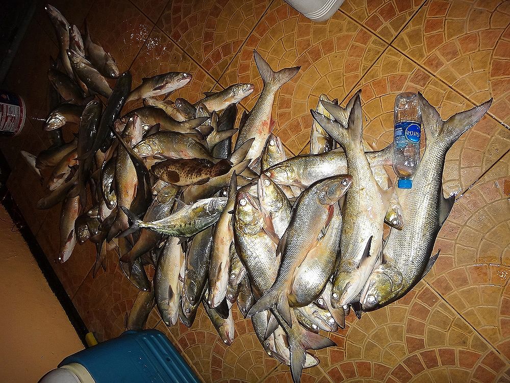 ผลงานเรือกัปตันกุ๊ก......80อัฟ....
 :love: :love:
