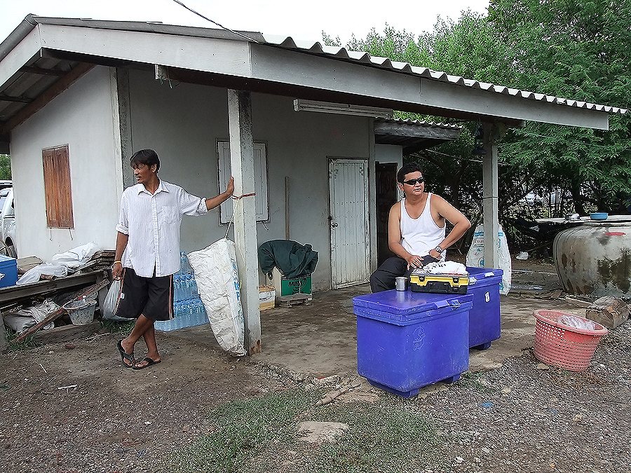 [b]คนซ้าย น้าโจ้ (เจ้าของบ่อ) คนขวา น้าโอ่ปลายาง ครับ วันนี้ก็เป็นผู้ติดตามอีกคนครับ[/b]
:cool: :co
