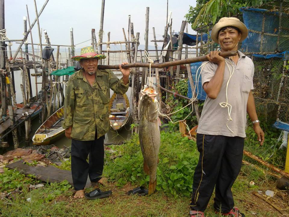 บังเฉดถึงกับต้องช่วยหามขึ้นจากเรือเลยครับ