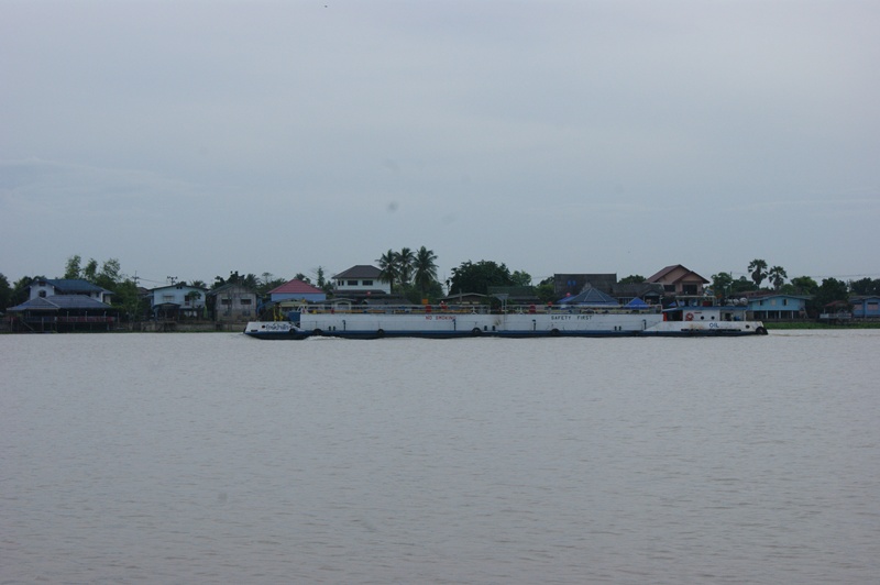  [center]มาแล้วครับ เรือเจ้าถิ่น เรือที่นักตกปลาที่มาลงแม่น้ำเจ้าพระยา (เรือรักษ์ป่าสัก)  ต้องพบเจอท