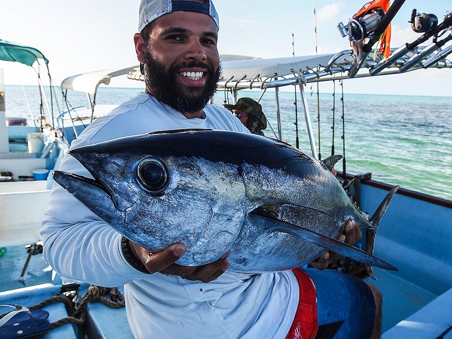 Tuna รางวัลพิเศษ โดย บินลาดิน !!! 