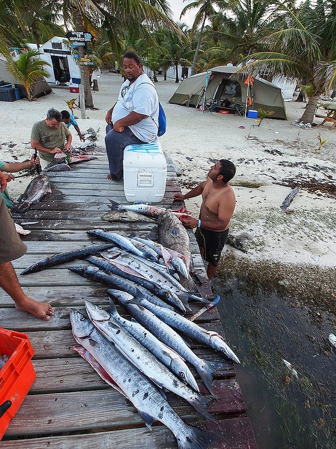 ผมของเรียกปลาสากว่า King of the reefs!  ปลาสากเหมือนคิงค์ที่ใครๆในแนวประการังก็หวั่นเกรง เป็นสุดยอดน