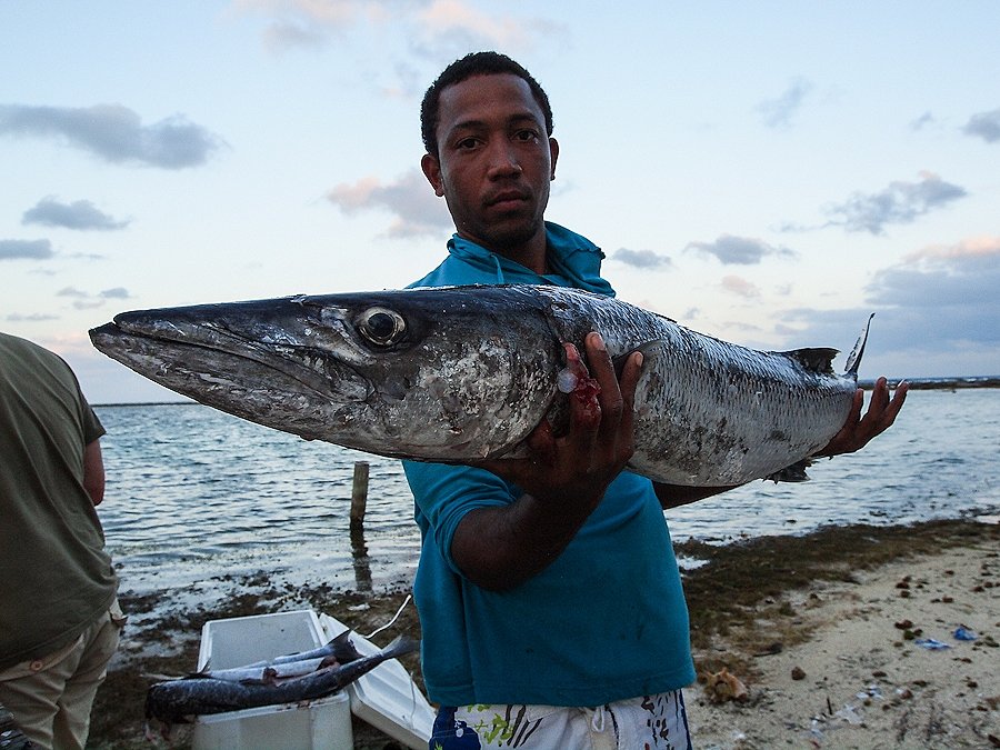  Barracuda!! ที่หนึ่งสากใหญ่ครับ มีโอกาสถ่ายเมื่อสายไป:grin: :grin: