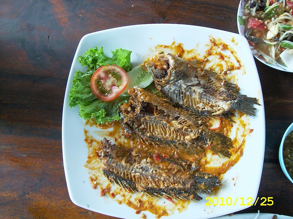 กินดีอยู่ดีมีที่นี้ :cheer: :music: :dance: :talk: