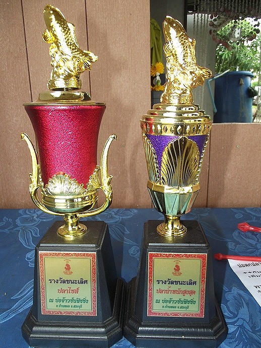 ถ้วยสวยงามวันนี้ครับ :love: :love: :love: :love: