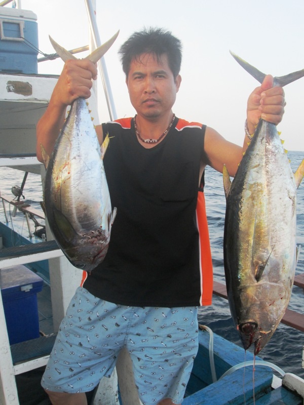 yellowfin tuna
China Team
Burma bank 
 :grin:
