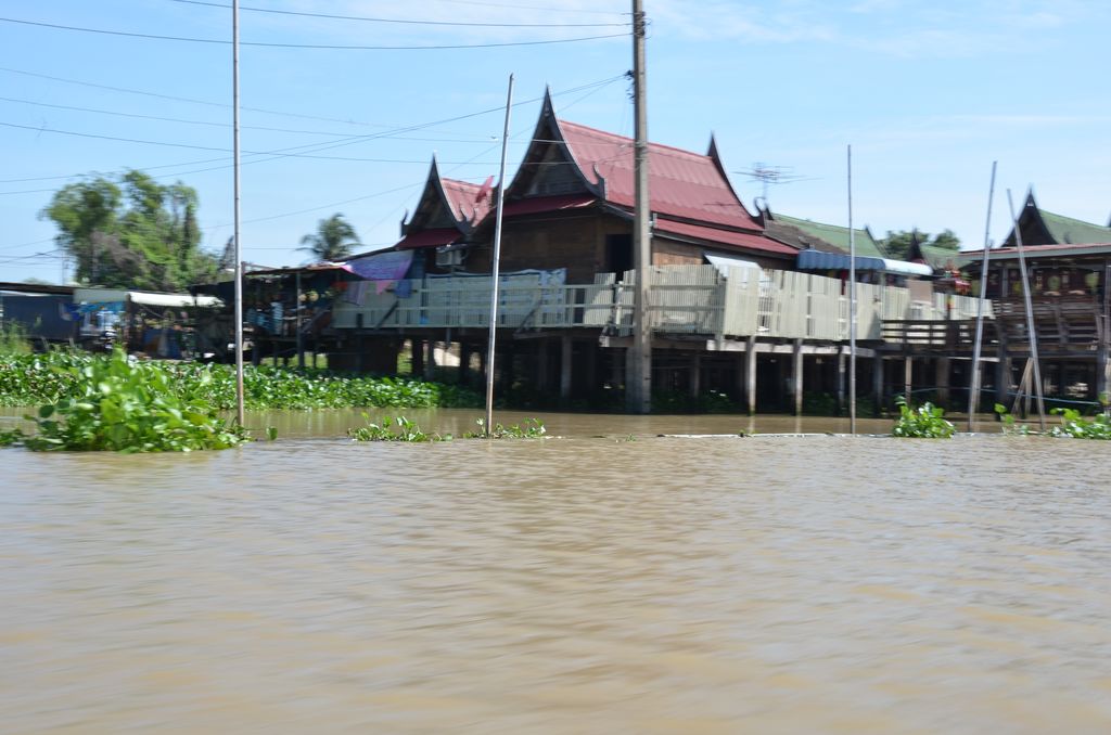 นั่งเรือผ่านก็เก็บภาพไปเรื่อย  :grin: :grin: