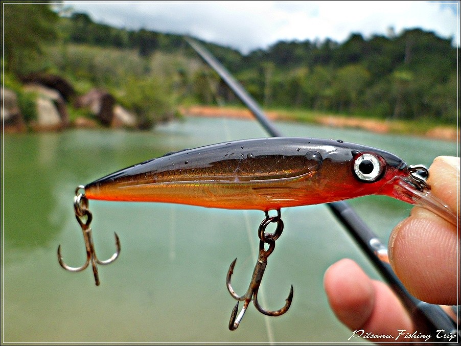  [center]:cheer:    เอาเหยื่อ  RAPALA X-RAP 4  ตัวนี้มาตีดีกว่า    เคาะไปเรื่อยๆๆ กับบริเวณทางนํ้าเข