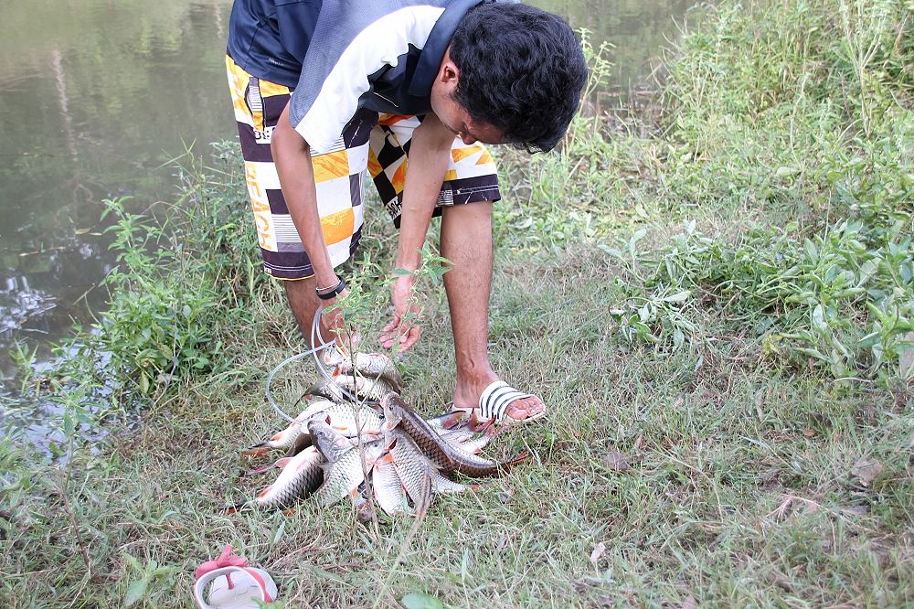 ร้อยใส่พวง  :love: :love: :love:

[q][i]อ้างถึง: Bfishing posted: 30-08-2556, 13:03:38[/i]

+ตาม