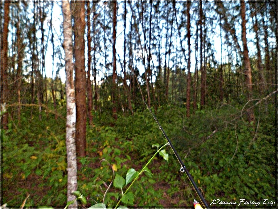  [center]:cheer:      เข้าป่าไปเลยที่นี้  เพื่อว่าจะเจอหมายดิบ ปลาดุๆๆๆ     :cheer:[/center]