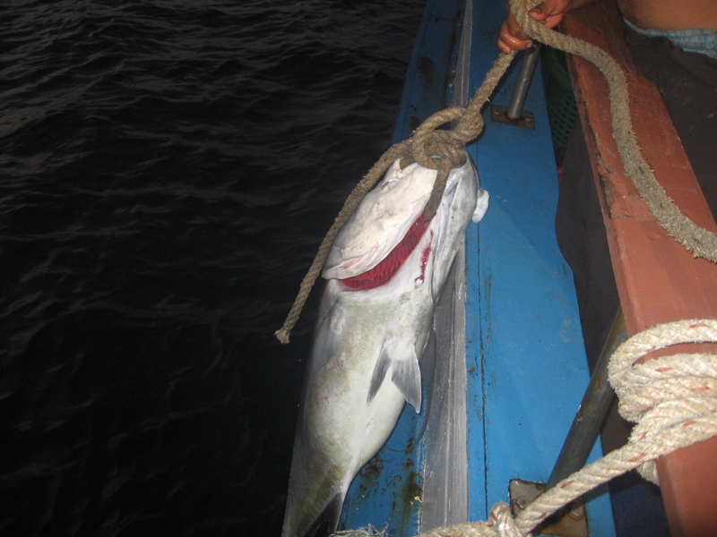 trip spearfishing
Andaman Islands India
 :grin: