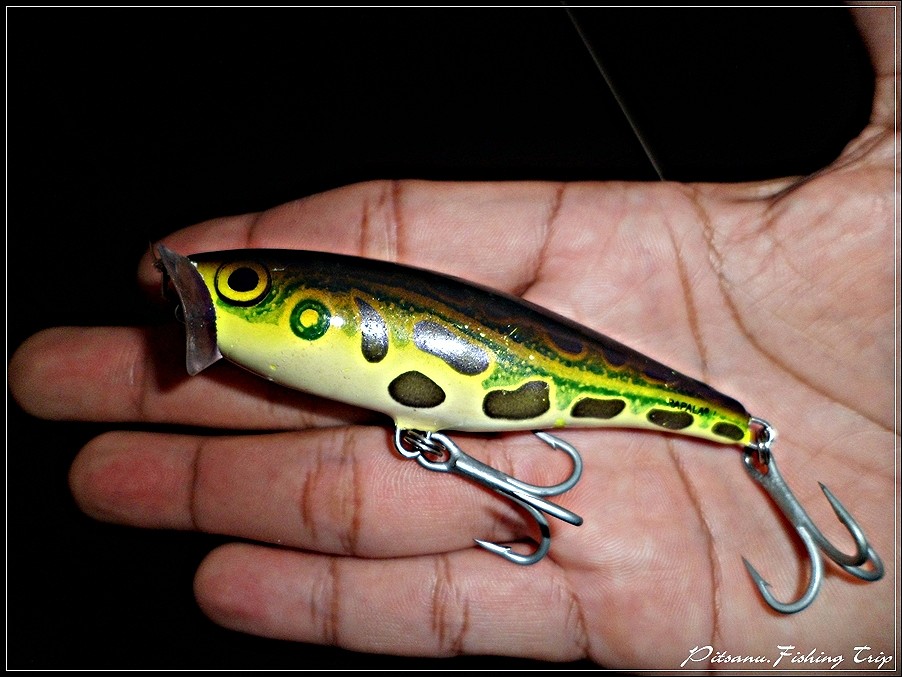  [center]:cheer:    รวมถึง   [b]RAPALA  SKITTER POP 9   [/b]    ตัวนี้ด้วย  วันนี้ไม่กัด ไม่กิน ก็คง