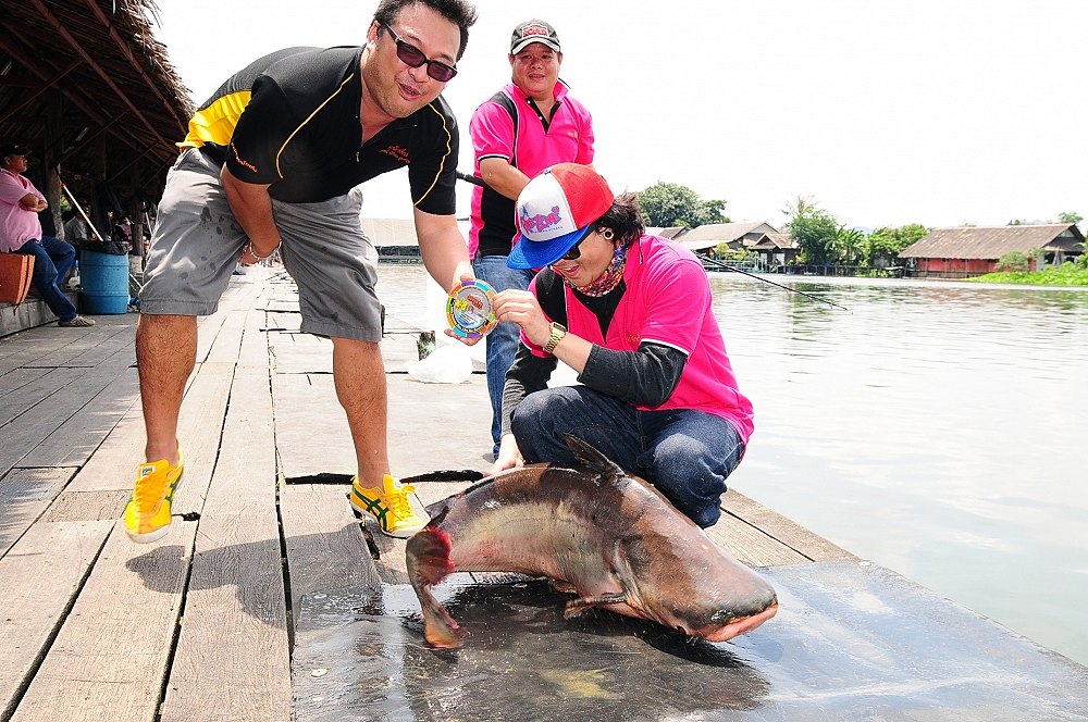 [q][i]อ้างถึง: MACHETE posted: 02-09-2556, 20:24:31[/i]

งานนี้สนุกมันมากครับผม :grin:งานดีๆอย่างน