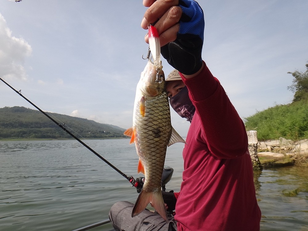 [q][i]อ้างถึง: macoshark posted: 03-09-2556, 09:16:17[/i]

ตามมาแว้วคร้าบบบบบบบบ วู้ วู้  ^^

 :