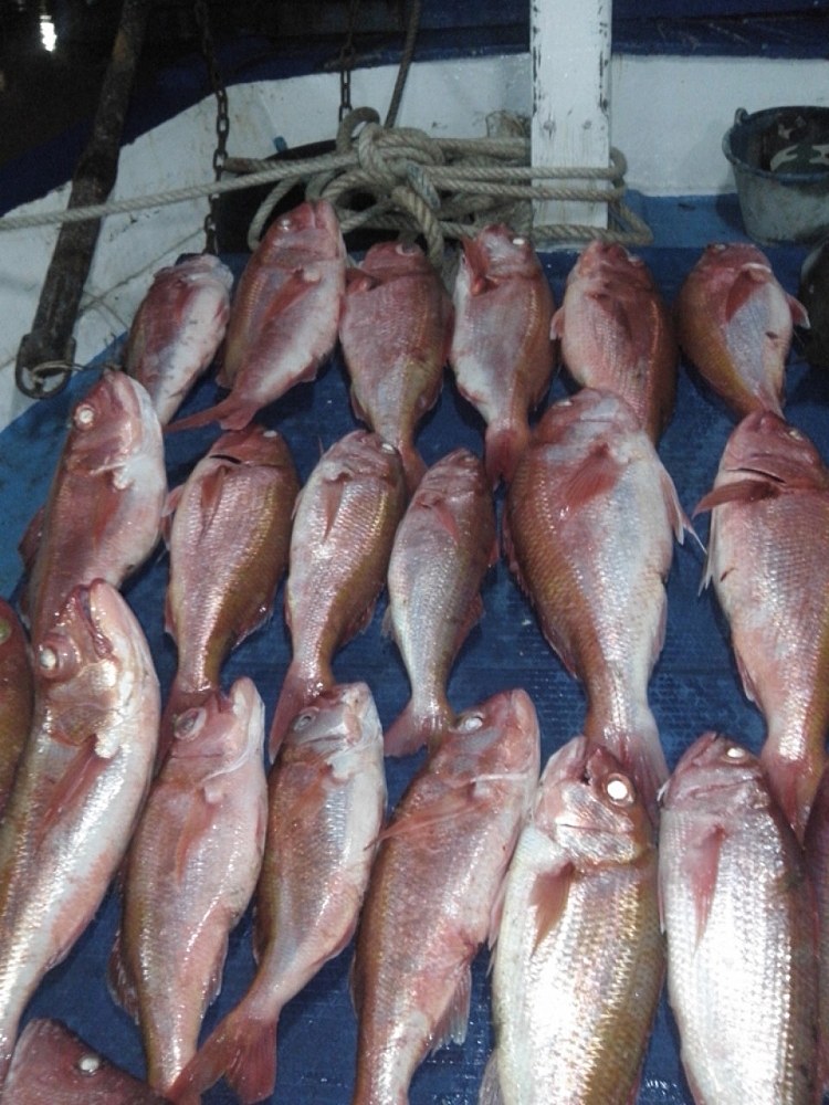 สีทองเพียบเลย