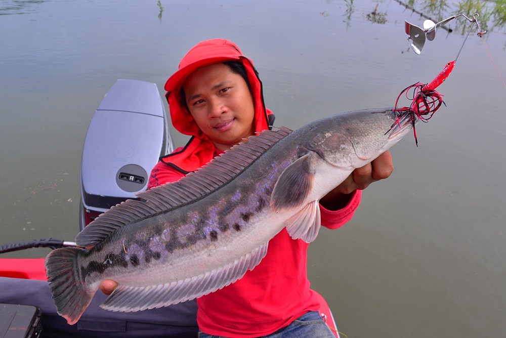 จัดหล่อให้อีก1รูปครัป....กัดมันได้ใจครับปลาตัวนี้,.... :cool: :grin: