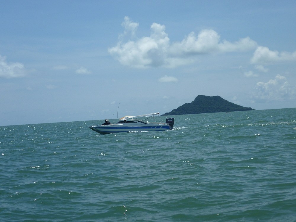 สักพักก้อมีเพื่อนมาร่วม