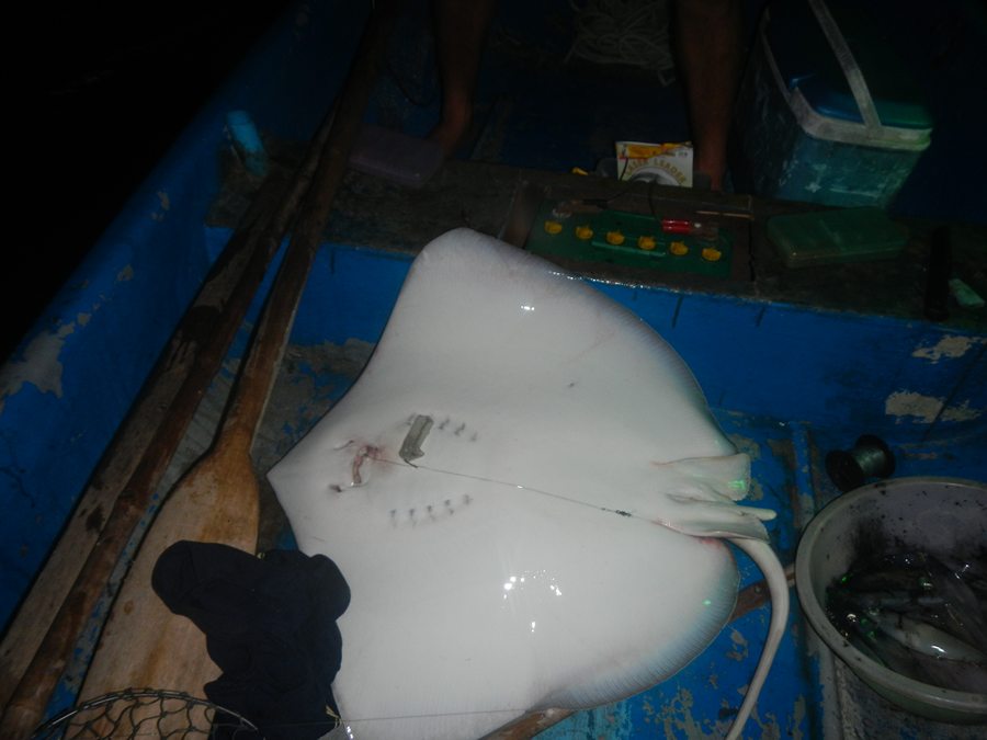เรียบร้อย..ตัวเดียวเต็มเรือเลย..