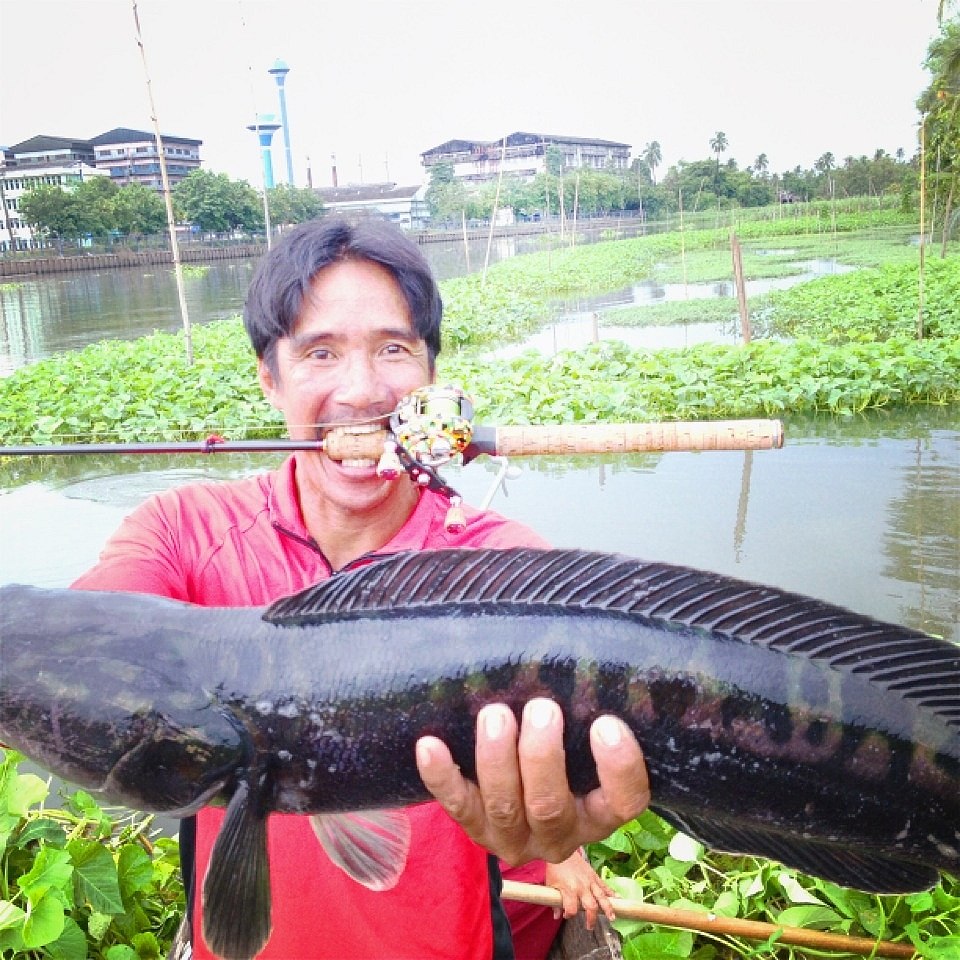 อู้วววว!!! ระวังฟันปลอมหลุดนะ โปรเซียนแก่ง (ชื่อใหม่ น้าไก่คับ) :cool: