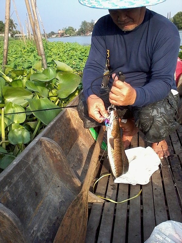 ใส่กระสอยกลับบ้านครับ ตัวกำลังกิน :love: :grin: :love: