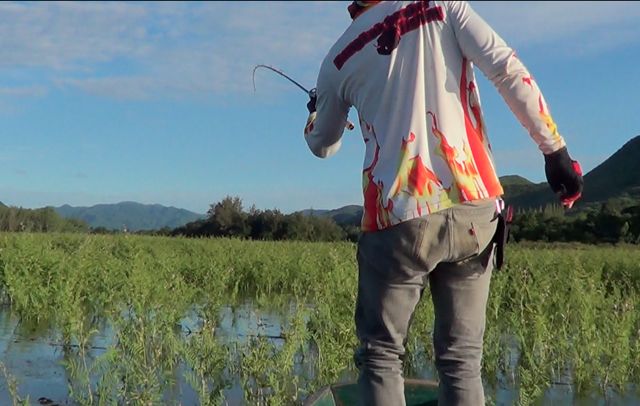ภาพชุดสุดท้ายจากทริปครับผม ปลากัดในป่าเลยถ่ายไม่ทัน :blush: