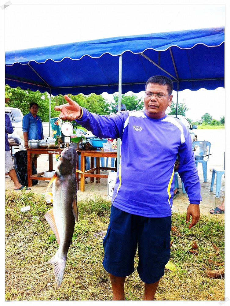 ทดสอบ