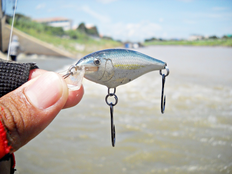 นี่ครับ...พระเอกในทริฟนี้ของ เรา 2 คน พี่กล๊อฟใช้ 7 เซน ส่วน ผม ใช้ 5 เซน ครับ  [b]RAPALA SHAD RAP ส