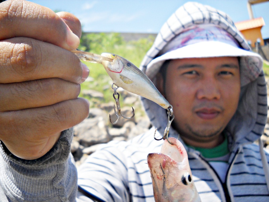 ซักพักพี่กล๊อฟ ก็จัด ปลาแดง อร่อยๆ มาอีกตัวครับ กับเหยื่อ  [b]RAPALA Shad rap 5 เซน สี SD[/b] ครับ 
