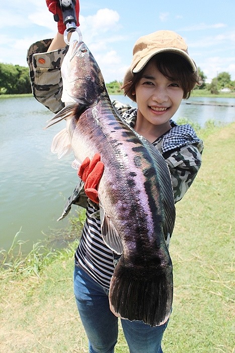 แอบไปกุ๊กิ๊กกับ ชะโดขัง นิดหน่อยคร่าาาา :grin: :grin: :grin: