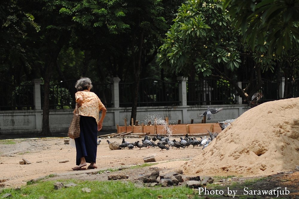 6/14    ก่อนเข้าวัดเจอคุณยายใจดีหว่านข้าวเลี้ยงนก