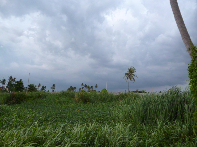 กลับดีกว่าวันนี้พอแล้ว ฝนก้อมืดมาเลย :sleep: :sleep: :sleep: :sleep: