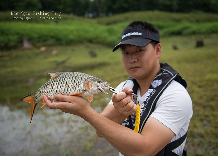 รูปลืมลงครับ...แฮ่ๆ

ขอขอบคุณน้าๆทุกท่านที่เข้ามาร่วมชม ร่วมโหวตมากนะครับ...

งั้นเดี๋ยวผมแถมรูป