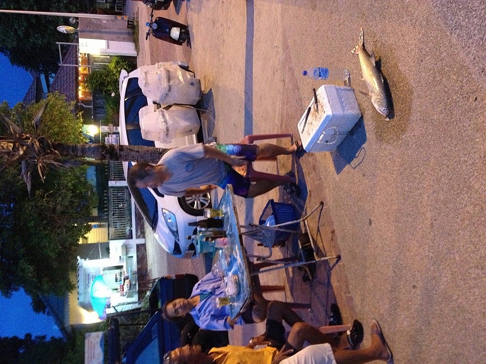 ขึ้นมานอนชมหาด