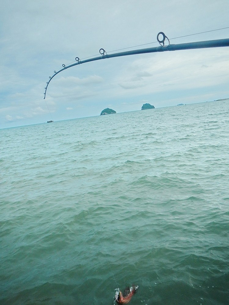 ........ออกมา โล่งเลย....... :love: :love: :love: :love:

[q][i]อ้างถึง: tigger12 posted: 07-09-25