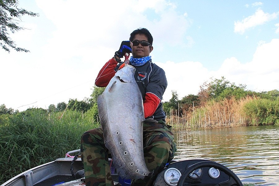 ขอ ลาด้วยภาพนี้นะครับ 
ทั้งวัน ตกปลาได้แค่ตัวเดียว จริงๆครับ  :grin: