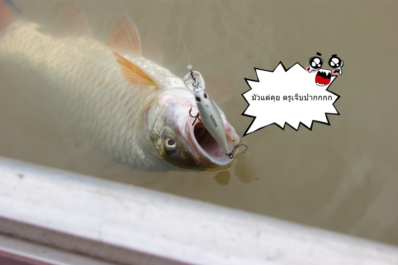  :grin: :grin: :grin: :grin: :grin: :grin: