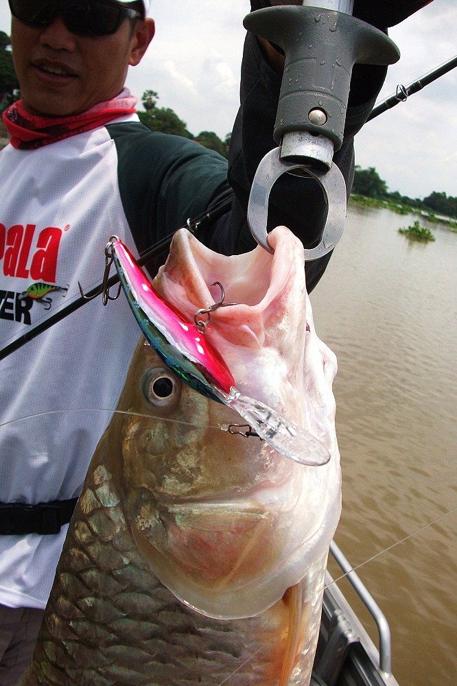 อู๋ อยากรู้ว่าRapala TDD07 มีดียังไงถึงขนาดตามหามาลองจนได้ อู๋บอกได้มาไม่กี่ตัวเพราะของหมดไปนานแล้วต